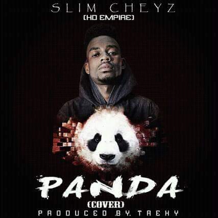 Slim Cheyz (HD Empire) - Panda (Cover) - AfroFire