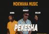 Mokwana Music - Pekesha