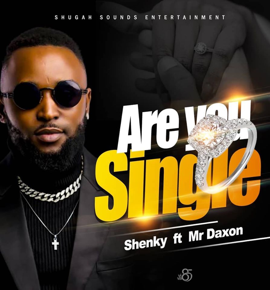 Shenky ft. Mr Daxon - Are you Single