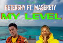 Petershy ft. Masereti - My Level