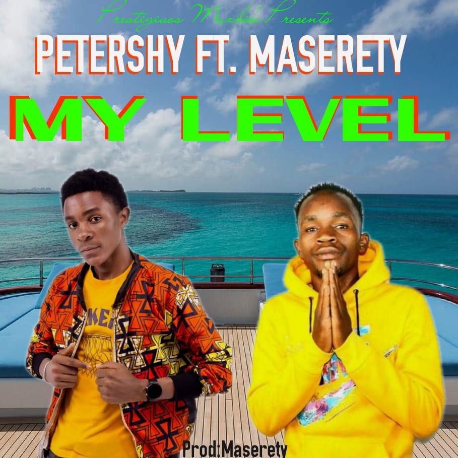 Petershy ft. Masereti - My Level
