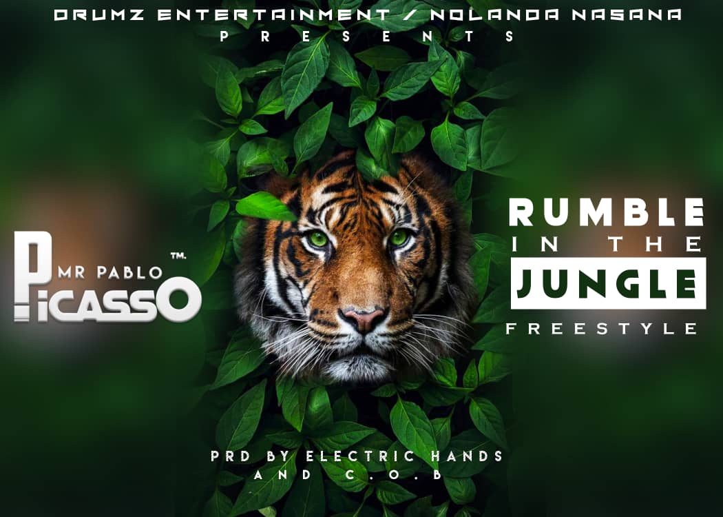 Picasso - Rumble in the Jungle