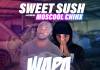 Sweet Sush ft. Moscool Chinx - Wapamutima