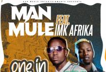 Man Mule ft. IMK Afrika - One In A Million