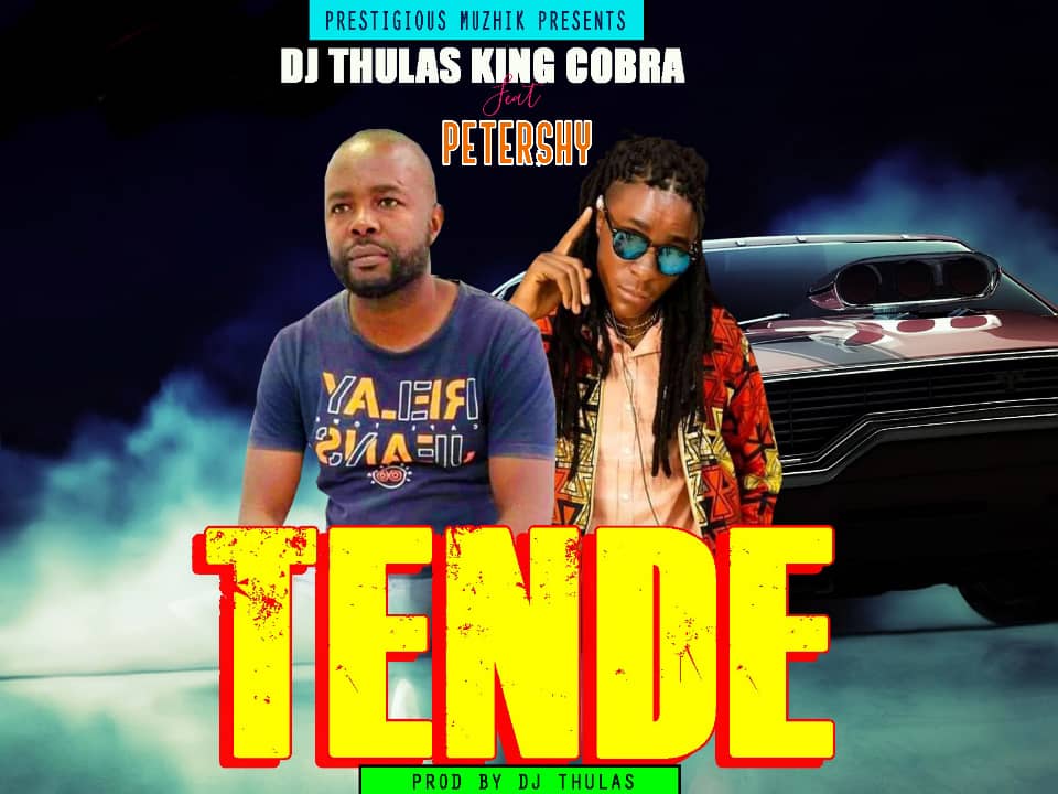 DJ Thulas King Cobra ft. Petershy - Tende