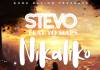 Stevo ft. Yo Maps - Nikaliko