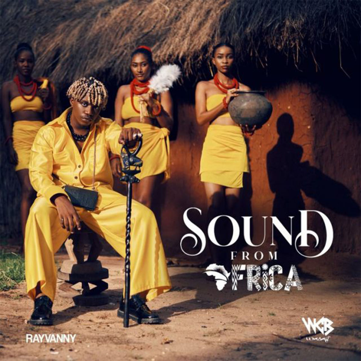 Rayvanny - Sound From Africa