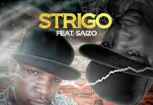 Strigo ft. Saizo - Nipatali