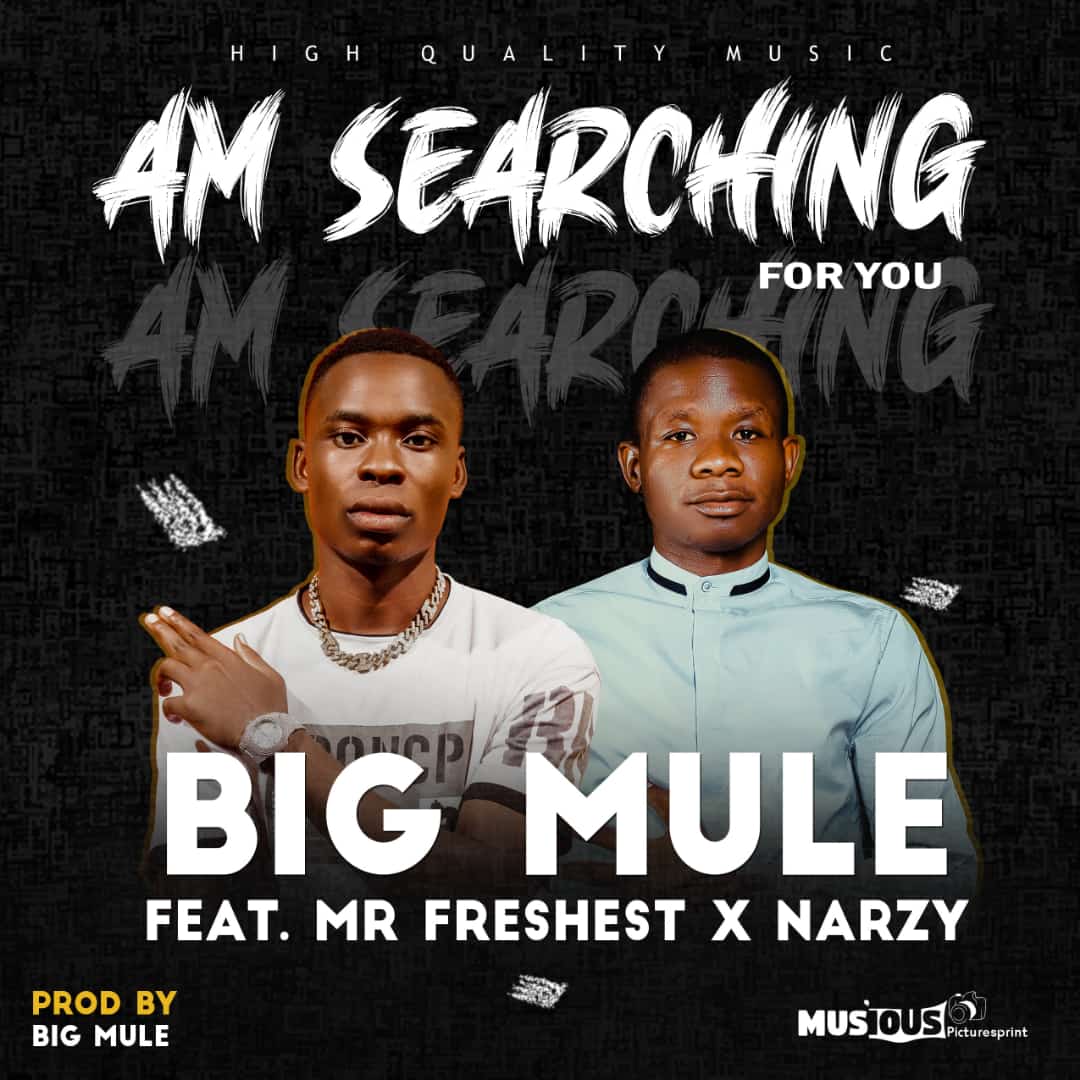 Big Mule ft. Mr Freshest & Narzy - Am Searching For You