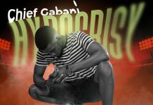 Chief Gabani - Hypocrisy (Prod. Edit Beats)
