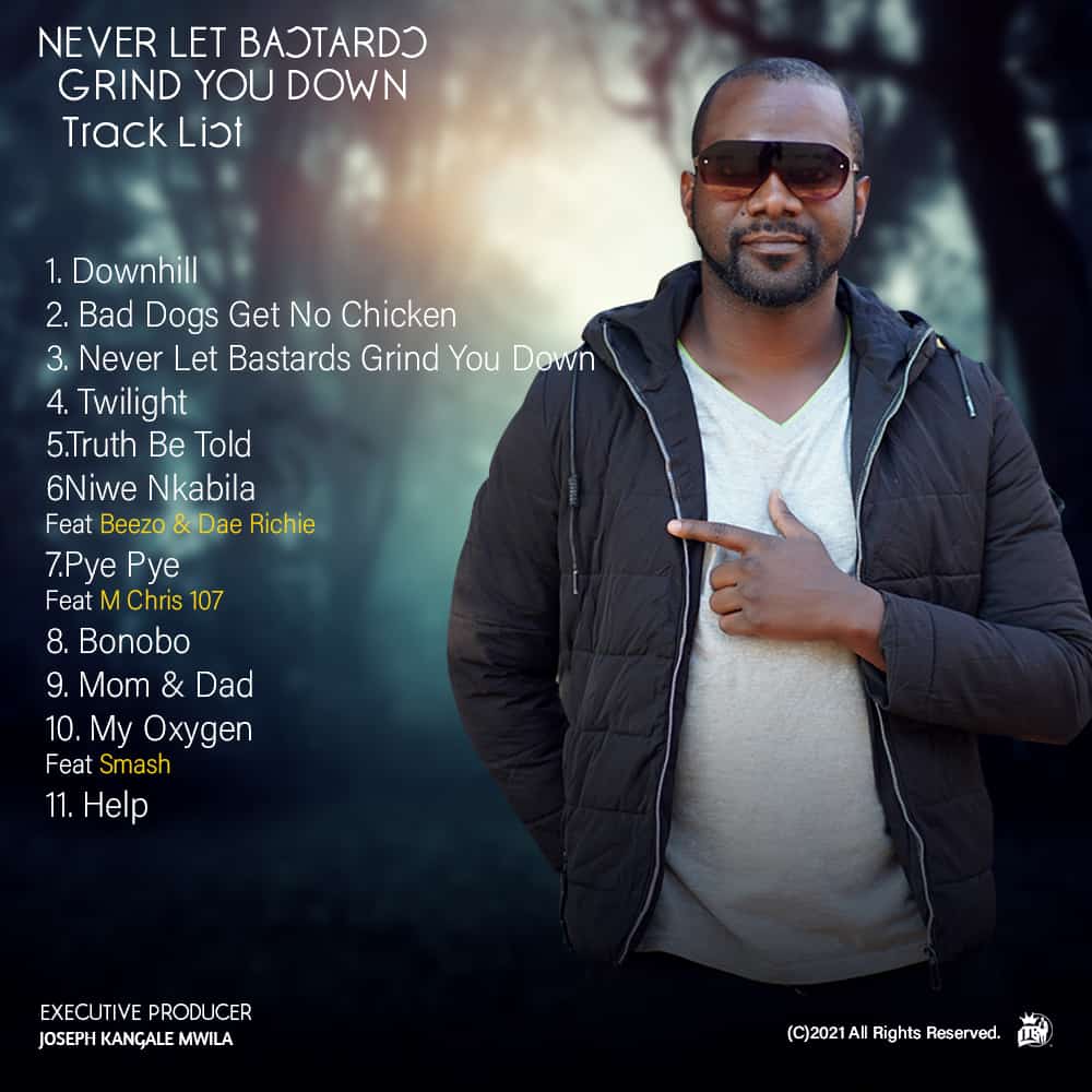 ALBUM: Average Joe - Never Let Bastards Grind You Down