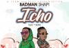 Badman Shapi ft. T-Sean - Icho (Prod. DJ Dro)