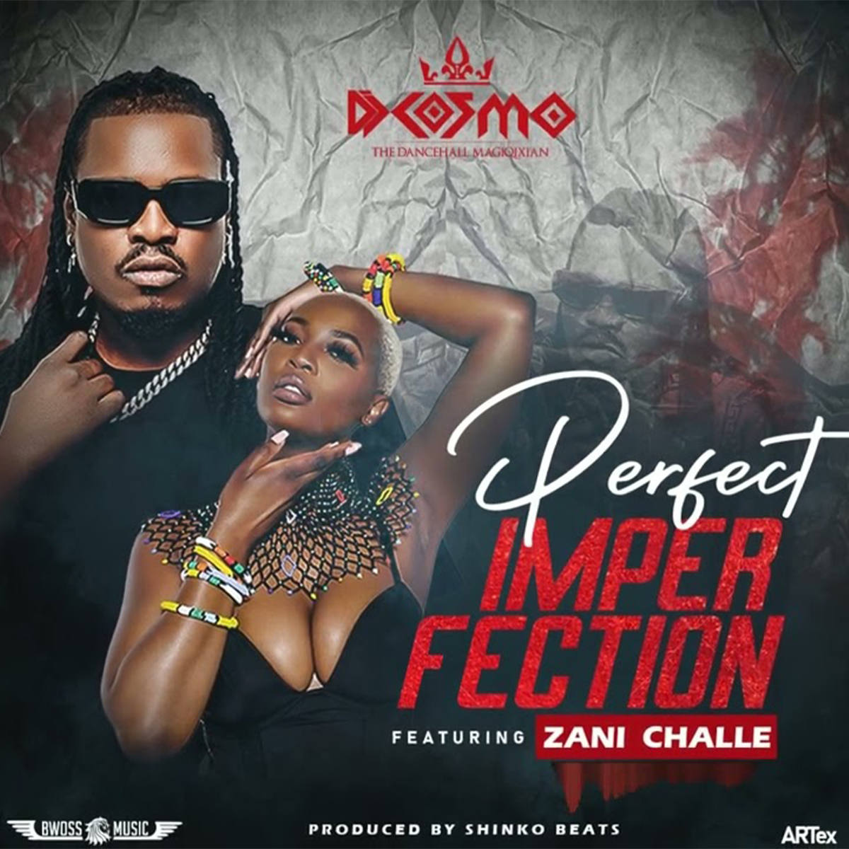 DJ Cosmo ft. Zani Challe - Perfect Imperfection