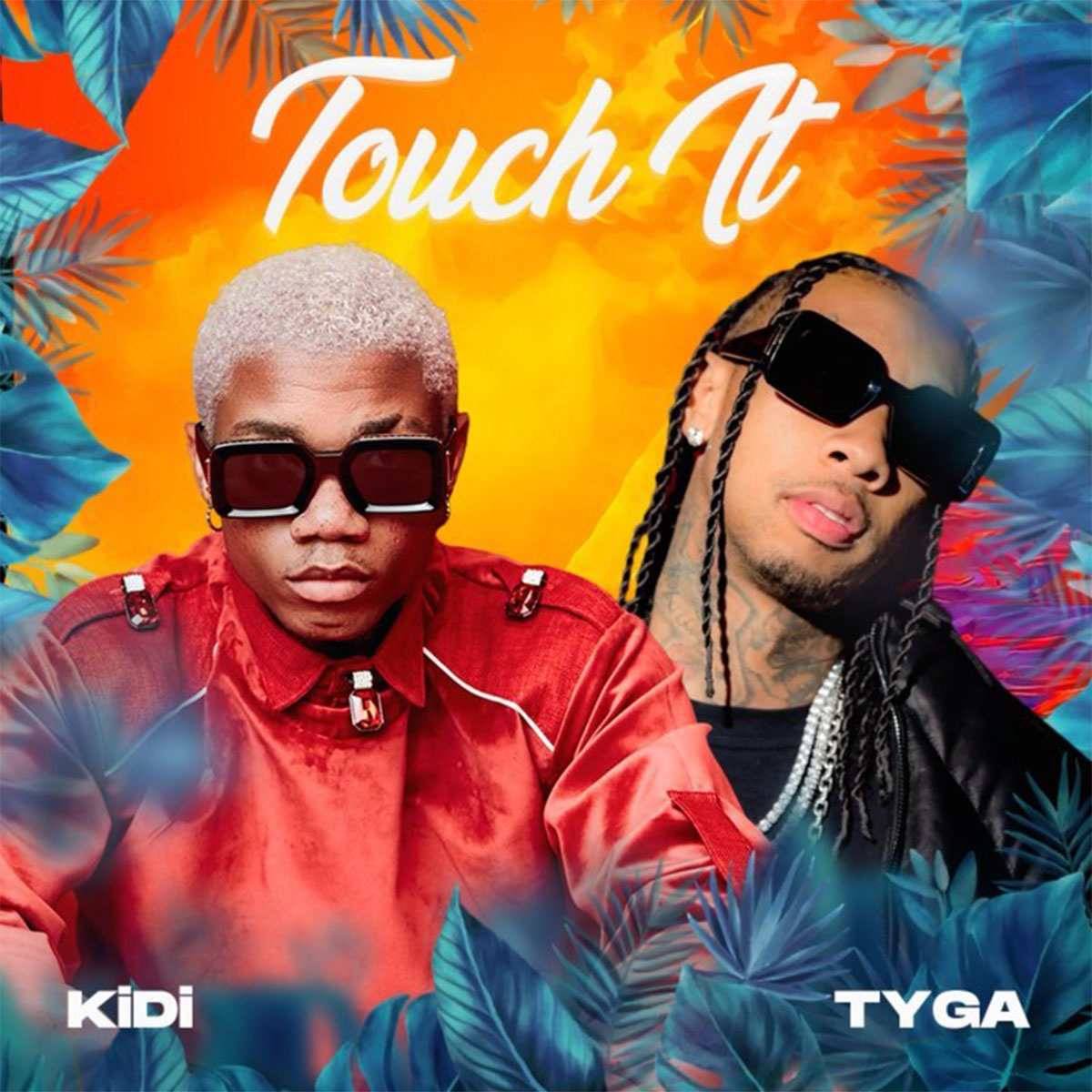KiDi ft. Tyga - Touch It (Remix)