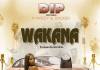 Dip ft. V Wizzy & Jocker Ndalama - Wakana
