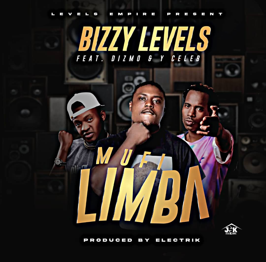 Bizzy Levels ft. Dizmo & Y Celeb - Mufilimba