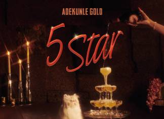 Adekunle Gold - 5 Star
