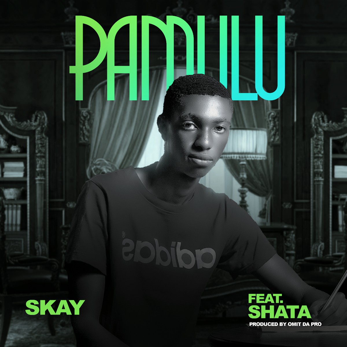SKay ft. Shata - Pamulu