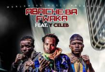 Abaiche Ba Fwaka ft. Y Celeb - Yalibipa