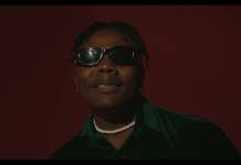 Willz Mr Nyopole - Nimayewa (Official Video)