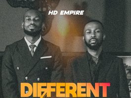 Slim Cheyz (HD Empire) - Panda (Cover) - AfroFire