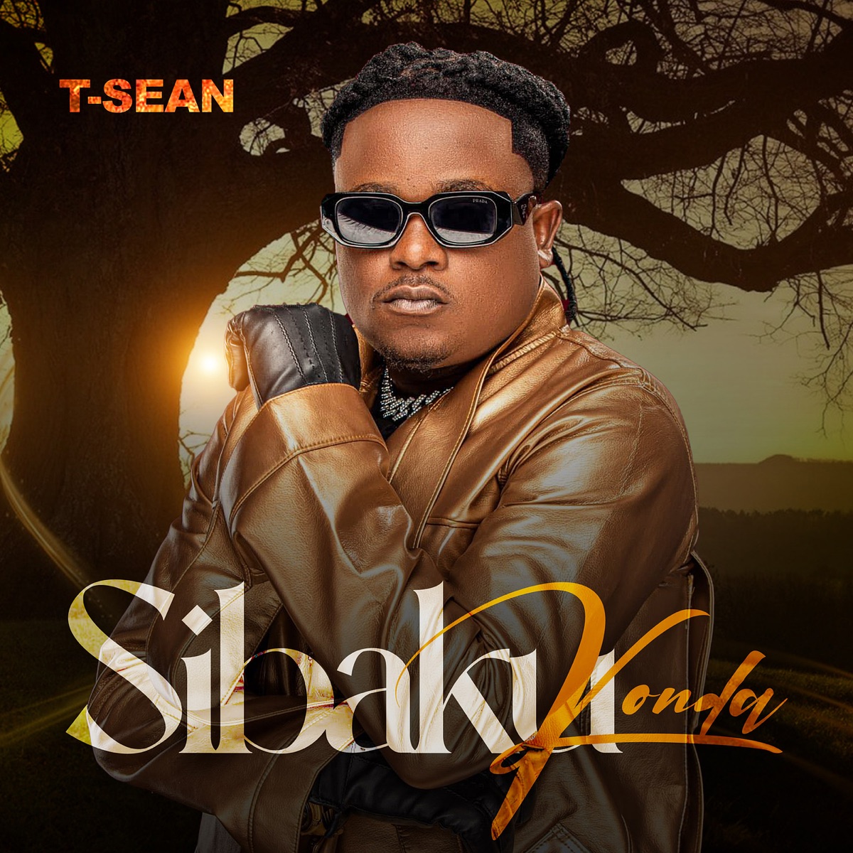 T-Sean - Sibakukonda